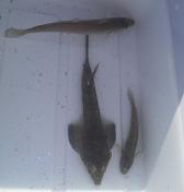 �����E�����E�͂�