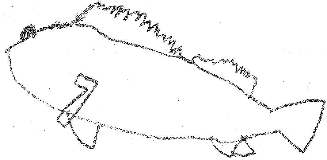 ���j�삩����