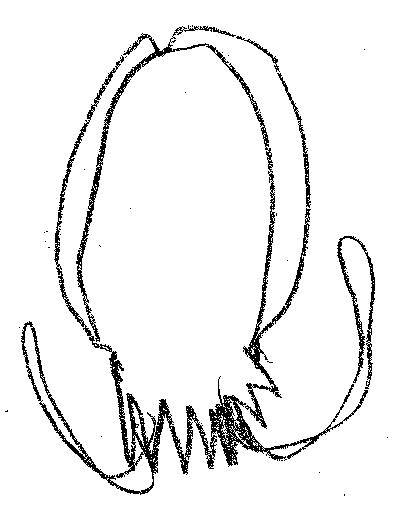 ���j��R�E�C�J