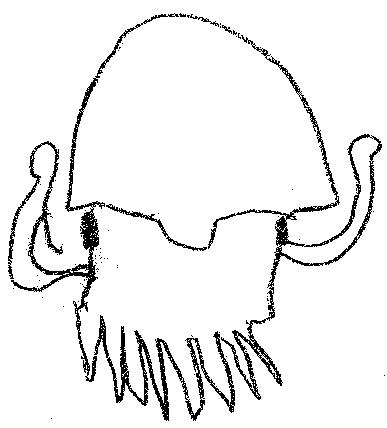 ���j��u�x��R�E�C�J�v