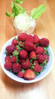 �C�`�S�̎��n